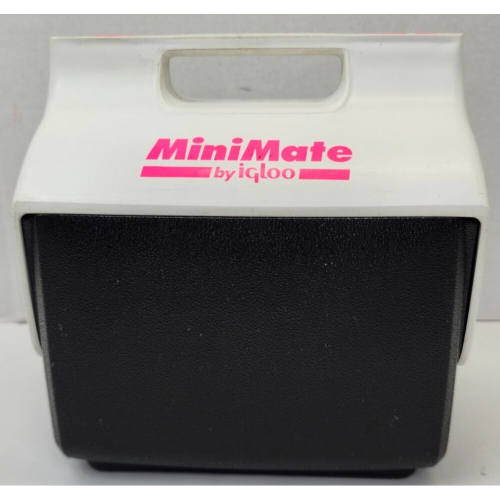 Vintage Igloo Mini Mate 6 Pack Cooler Blue Pink Lunchbox Swivel Top USA Made